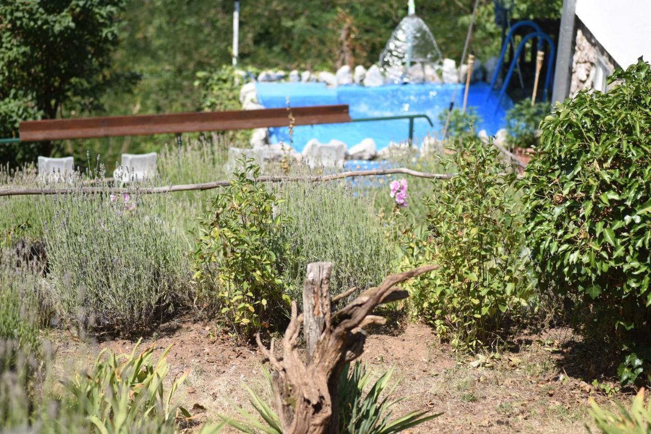 Vila Lena Meduvrsje Extérieur photo