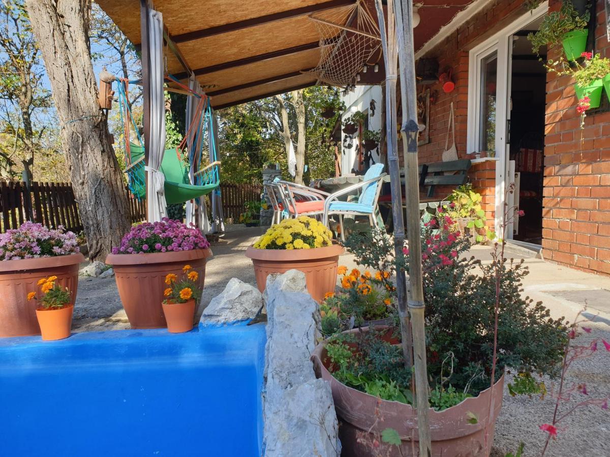 Vila Lena Meduvrsje Extérieur photo
