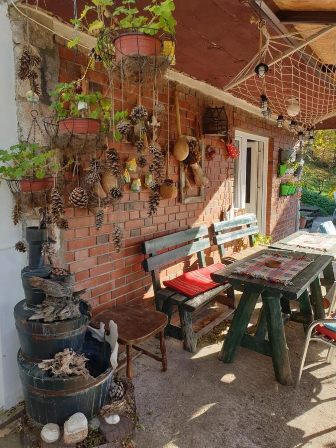 Vila Lena Meduvrsje Extérieur photo